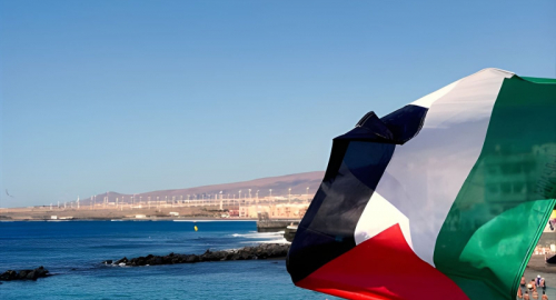 Oltre il Blocco: Il Caso "Flotilla", gli Attivisti in Catene e la Nuova Tempesta Diplomatica su Gaza